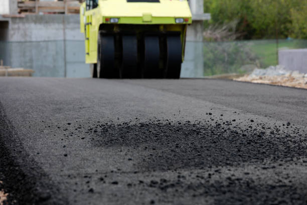 Best Residential Driveway Paver Services  in Cienega Springs, AZ